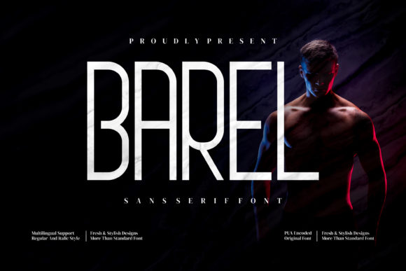 Barel Font: Elevating Web Design with Minimal Typography