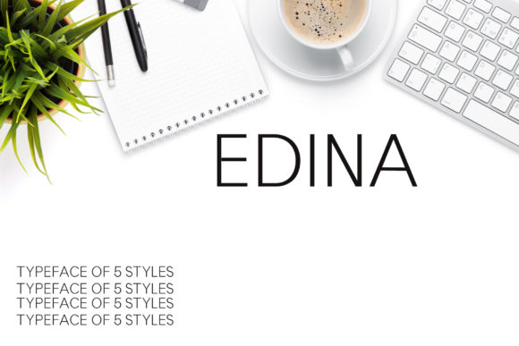 Edina: The Modern Sans Serif Font for Clear Campaigns