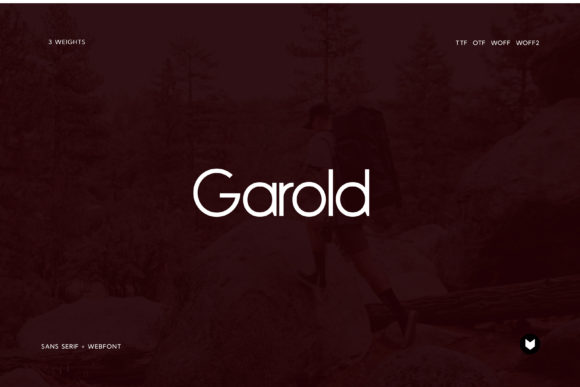 Garold: The Minimal Sans Serif Font for Clear Campaigns