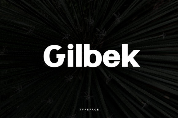 Gilbek: A Minimal Sans Serif Font for Modern Editorial Design