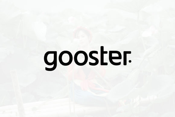 Gooster: A Minimal Sans Serif Font for Modern Web Design