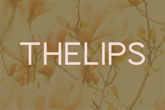 Thelips Font for Clean Small Business Branding