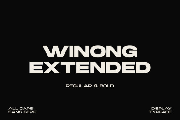 Winong Extended Font for Professional Branding