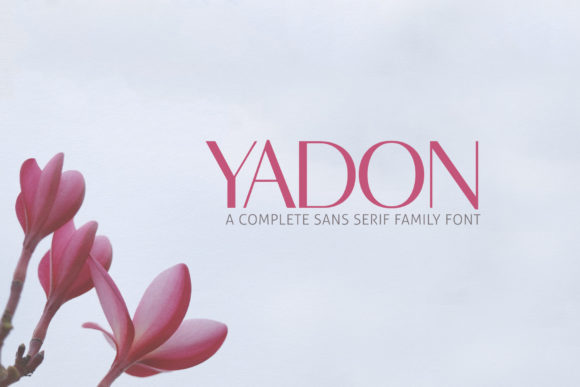 Yadon Family: A Modern Sans Serif Typeface for Clean Branding
